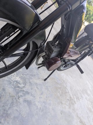 Moped Negro y Granate