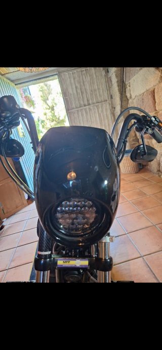 Pantalla Harley Davidson IRON XL 883/1200 OEM