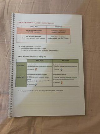 Apuntes psicología Uned