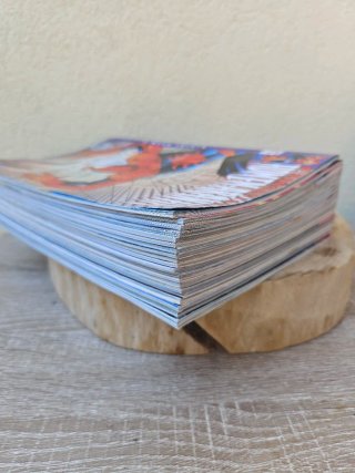 O Sensacional Homem-Aranha – Coleção Completa 1–20