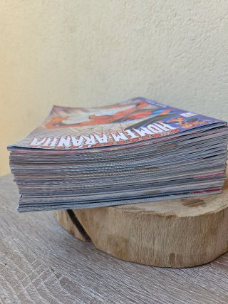 O Sensacional Homem-Aranha – Coleção Completa 1–20