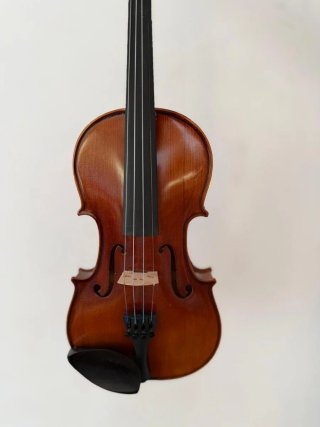 Violín Domus Musica con funda y arco
