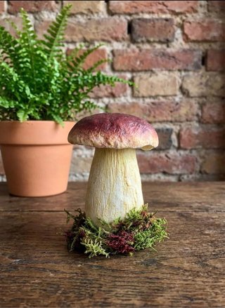 Figuras Set 3 Setas Decorativas Boletus edulis
