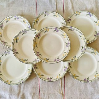 Juego de 9 platos antiguos Longwy – Deco floral