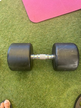 Mancuernas Salter 32kg (Par)