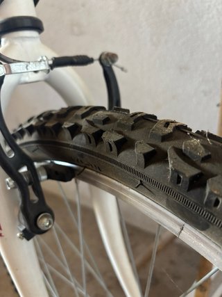 Bicicleta Mitical Foxy 24