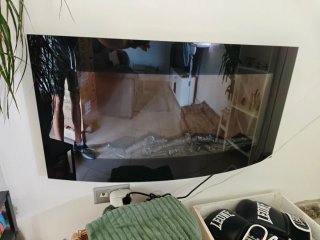 Chimenea Eléctrica 2000W