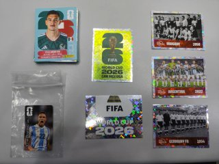 Lote Cromos Mundial Panini FIFA World Cup