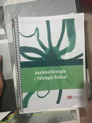 Anatomologia y patologias Grado medio fp