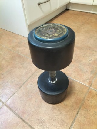 Mancuerna redonda de 20Kg