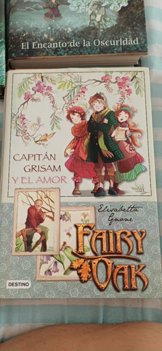 Saga Fairy Oak
