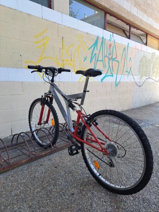 Bicicleta de Montaña