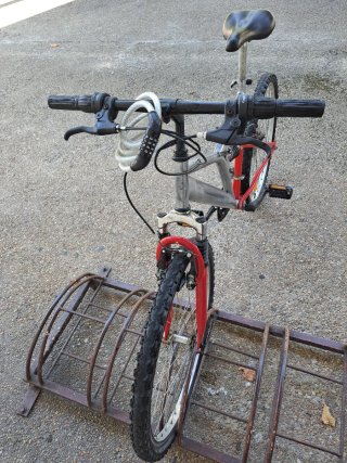 Bicicleta de Montaña