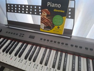 Piano Hemingway DP-201 MKII AT