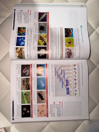 Biología y Geología 1º ESO. Libro del estudiant...