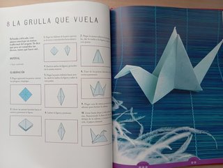 Papiroflexia, Origami. Amandine Dardenne.