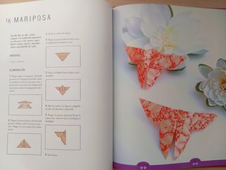 Papiroflexia, Origami. Amandine Dardenne.