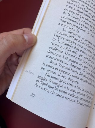 Rosa Vermell, detectiva privada