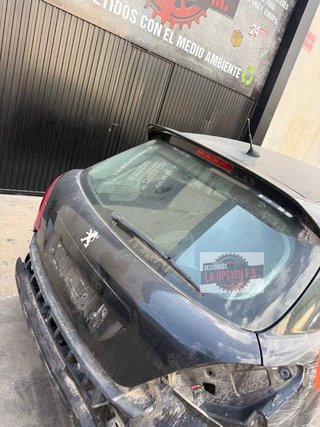 PORTON TRASERO Peugeot 207 (2006->)