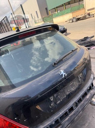 PORTON TRASERO Peugeot 207 (2006->)