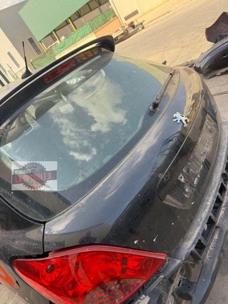 PORTON TRASERO Peugeot 207 (2006->)