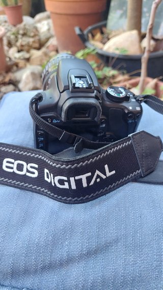 Cámara Canon con ópticas y accesorios