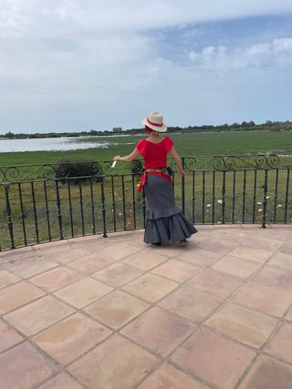 Falda flamenca campera gris y roja