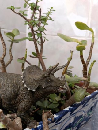 Figura Dinosaurio Triceratops Colección Papo