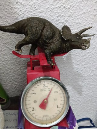 Figura Dinosaurio Triceratops Colección Papo