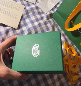 Cartera Goyard Verde y Teal