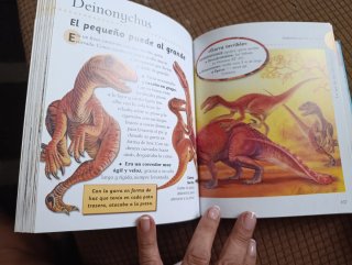 Dinosaurios y la vida en la prehistoria