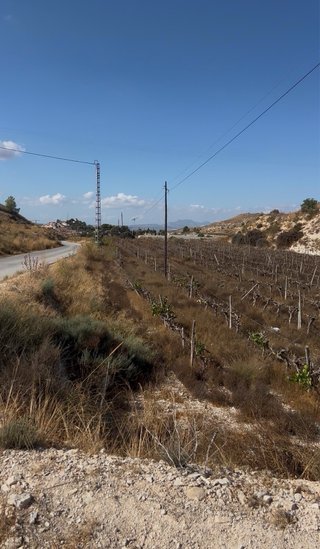 Terreno 1km de Agost (Alicante)