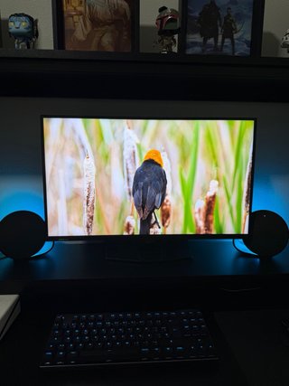 MSI MAG 274UPDF E16M Monitor