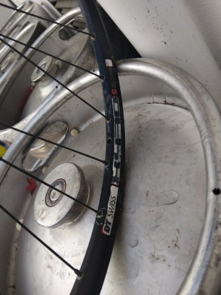 Rueda trasera 29 DT Swiss
