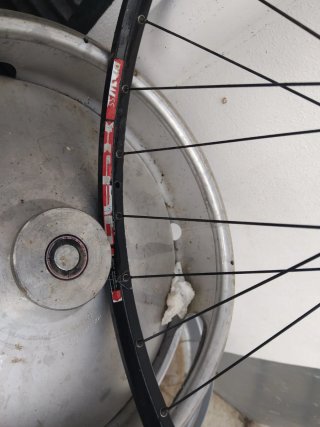 Rueda trasera 29 DT Swiss