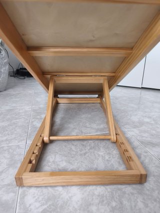 Rampa para perros ajustable
