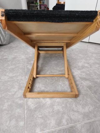 Rampa para perros ajustable
