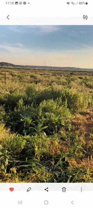 Parcela
