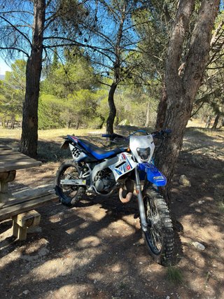 Derbi Senda DRD Racing 85 Aniversario