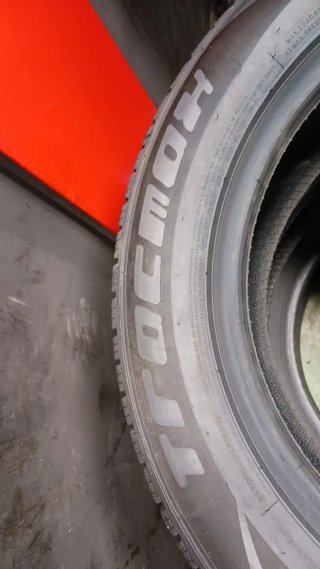 205/55 R16 91V TRACMAX ALLSEASON X-PRIVILO TRAC SA
