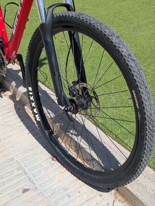 Bicicletta Giant Talon MTB 29 Taglia M