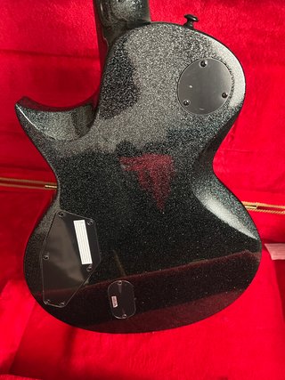 LTD EC 1000 Guitarra Eléctrica Granite Sparkle