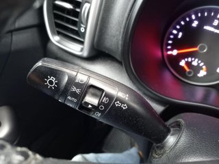 KIA SPORTAGE 1.6 CRDI MHEV Business 100kW (136CV) 4x4