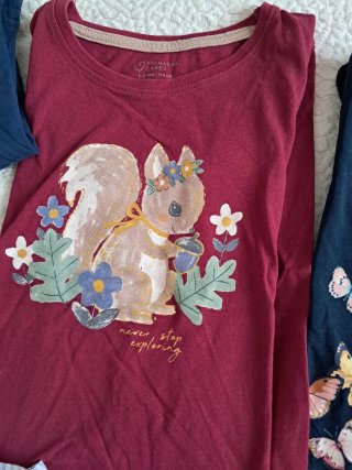 Lote Ropa Niña Blusas Camisetas Sudadera