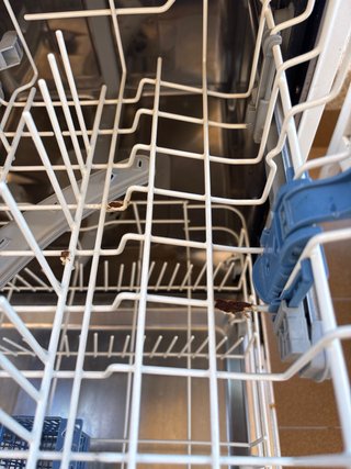 Lavavajillas Indesit