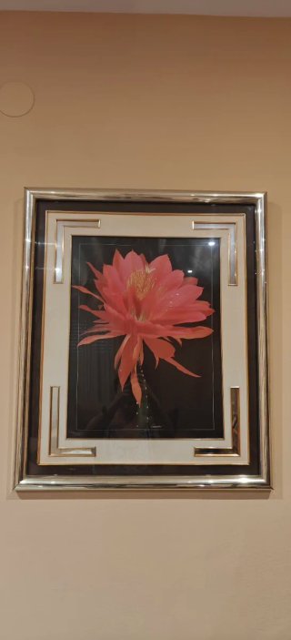 Cuadro Flor Rosa Marco Dorado y Plateado