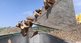 Leña de olivo para chimenea-barbacoa