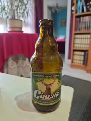 Lotto di 5 Bottiglie di Birra Vuote