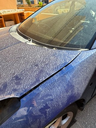 Capó Toyota Celica T23 Azul