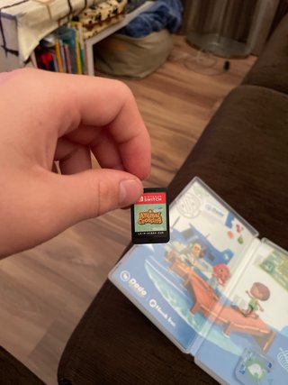 Animal Crossing: New Horizons Nintendo Switch